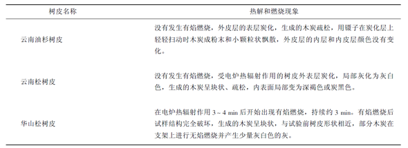 树皮在热辐射作用下的热解和燃烧现象