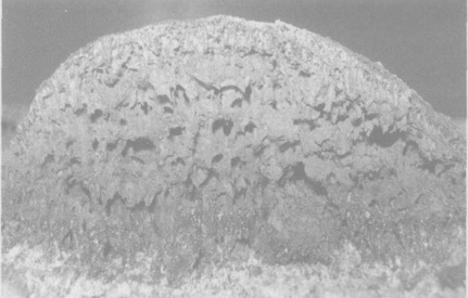 膨胀型钢结构防火涂料的组成及其作用（一）